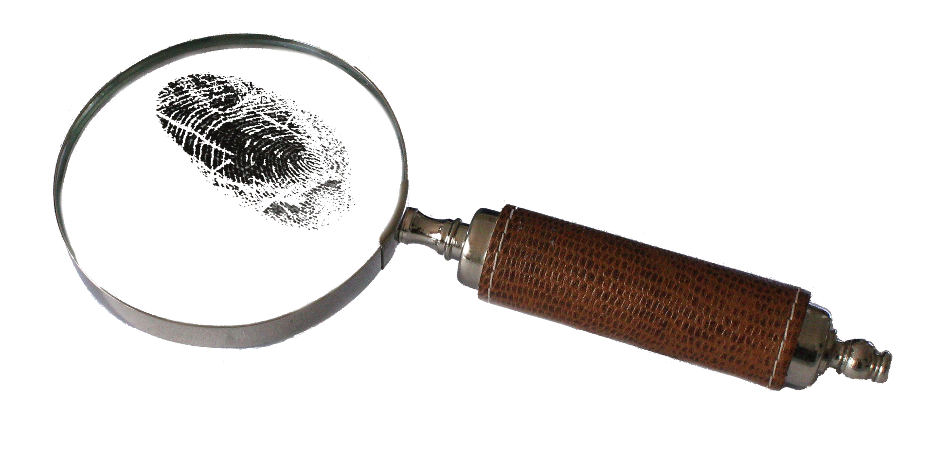 magnifying-2681372_1920 magnifying-2681372_1920